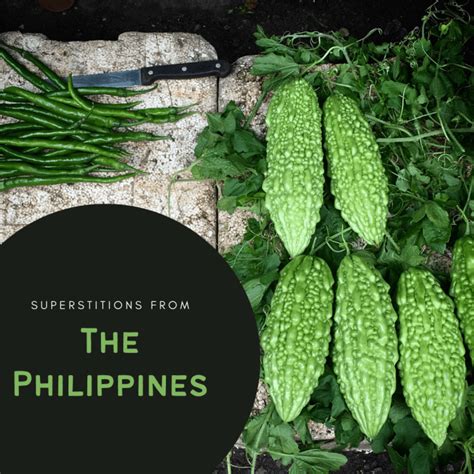 board exam superstitions philippines|17 Common Filipino Superstitions You Need to Know.